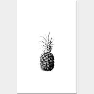 Pineapple 01 Posters and Art